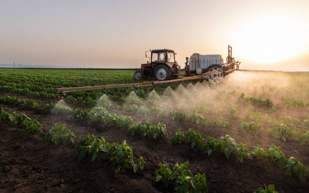 Best Commercial Pest Control Services  in Story City, IA