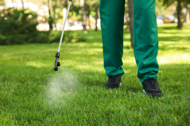 Best Best Pest Control Companies  in Story City, IA