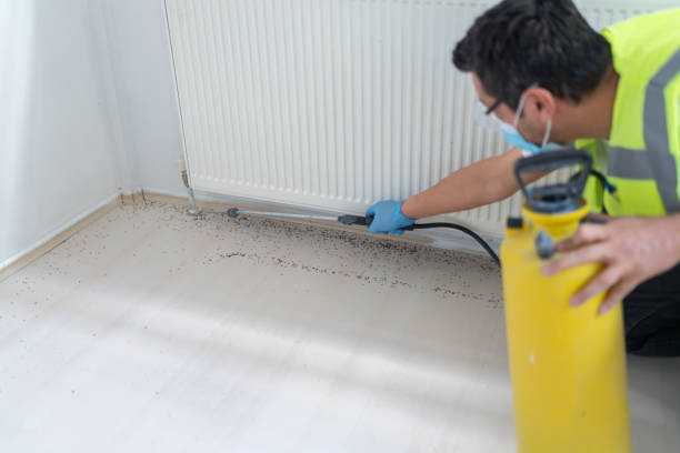 Best Residential Pest Control  in Story City, IA