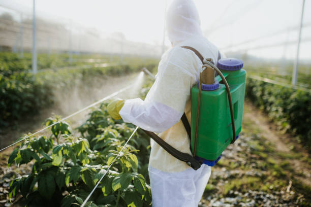 Insect Control in Story City, IA